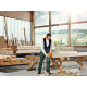 Потужна електропилка STIHL MSE 250 С-Q